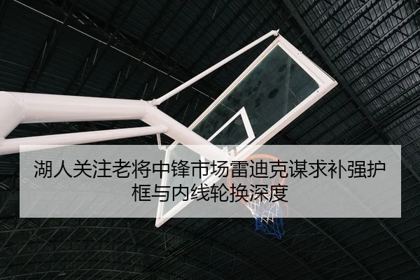湖人关注老将中锋市场雷迪克谋求补强护框与内线轮换深度